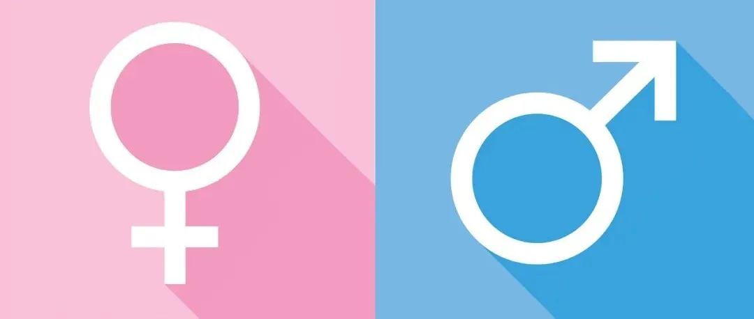 都是Y染色體惹的禍！